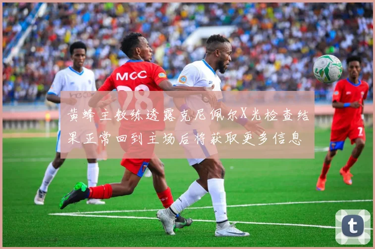 黄蜂主教练透露克尼佩尔X光检查结果正常回到主场后将获取更多信息
